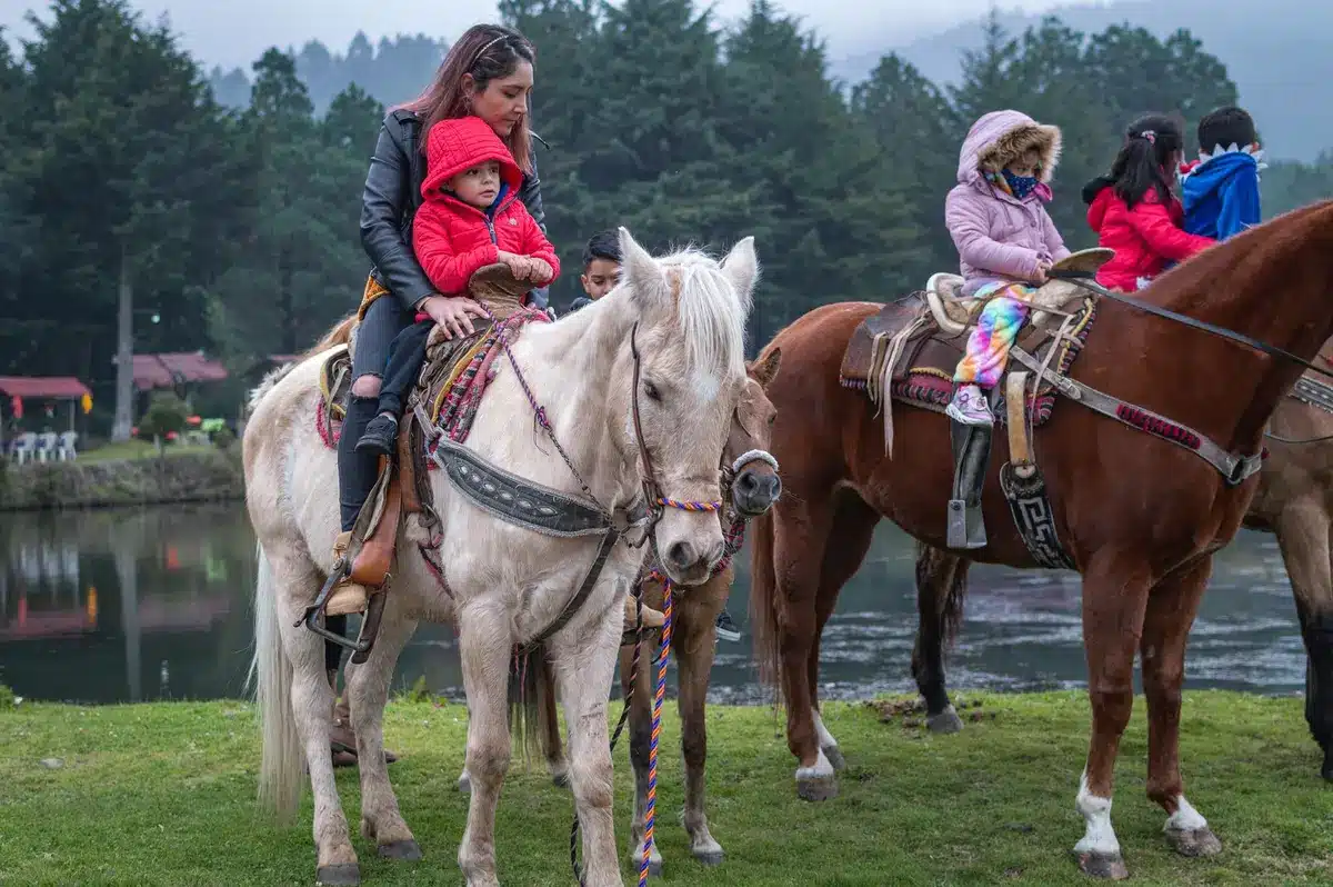Un enfant à cheval avec un moniteur lors d'une séance d'équitation thérapeutique en extérieur