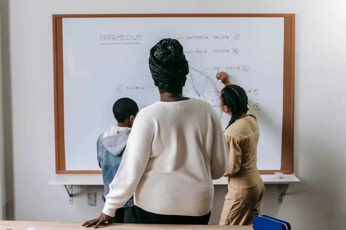 Enseignant guidant des élèves en petits groupes avec des activités différenciées
