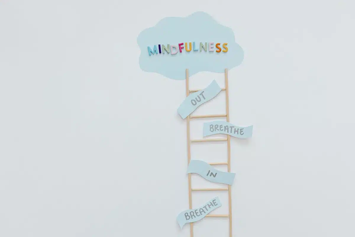 Exercices de pleine conscience et de résilience pour gérer le stress émotionnel.